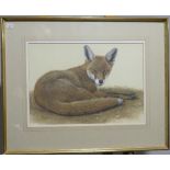 20th century School, Fox, watercolour, 31.5cm x 45.5cm, framed and glazed.