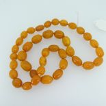 A graduated Amber bead Necklace, with dark butterscotch oval beads, largest 17.8mm long, overall