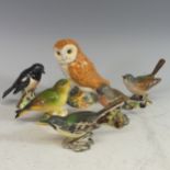 A small quantity of Beswick Birds, to include Barn Owl, Whitethroat model 2106, Chaffinch model 991,