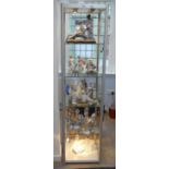 A glazed shop Display Cabinet, four glass shelves, with spotlights, 50cm x 50cm x 197cm high.