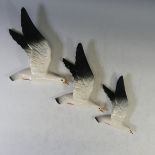 A set of three Beswick graduated Seagull Wall Plaques, model no 922-1 to 922-3, factory marks to