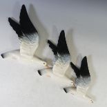 A set of three Beswick graduated Seagull Wall Plaques, model no 922-1 to 922-3, factory marks to