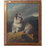 Manner of George Armfield (British, 1808-1893), Terrier in a highland landscape, oil on canvas, 50.