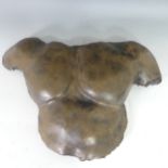 A cold cast bronze resin sculpture of a Male Torso, modelled in the classical style, 62cm x 42cm.