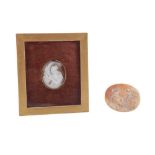 A FRAMED 19TH CENTURY CARVED SHELL CAMEO