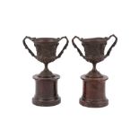 A PAIR OF GRAND TOUR BRONZE WARWICK STYLE VASES,