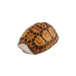 A George III provincial sterling silver mounted terrapin or star tortoise shell snuff box, Newcastle