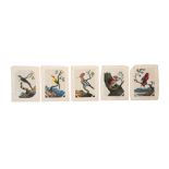 FIVE MICA PAINTINGS OF EXOTIC INDIAN BIRDS Possibly Patna or Murshidabad, Eastern India, ca. 1820 -