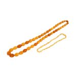 A GRADUATED EGG YOLK AMBER BEAD NECKLACE