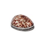 A George II unmarked silver mounted cowrie shell snuff box, possibly Scottish circa 1730