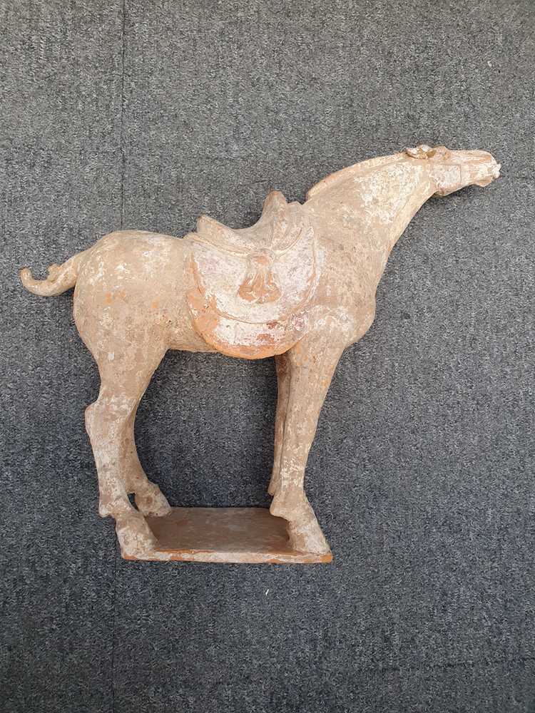 A CHINESE POTTERY MODEL OF A HORSE - Image 3 of 19