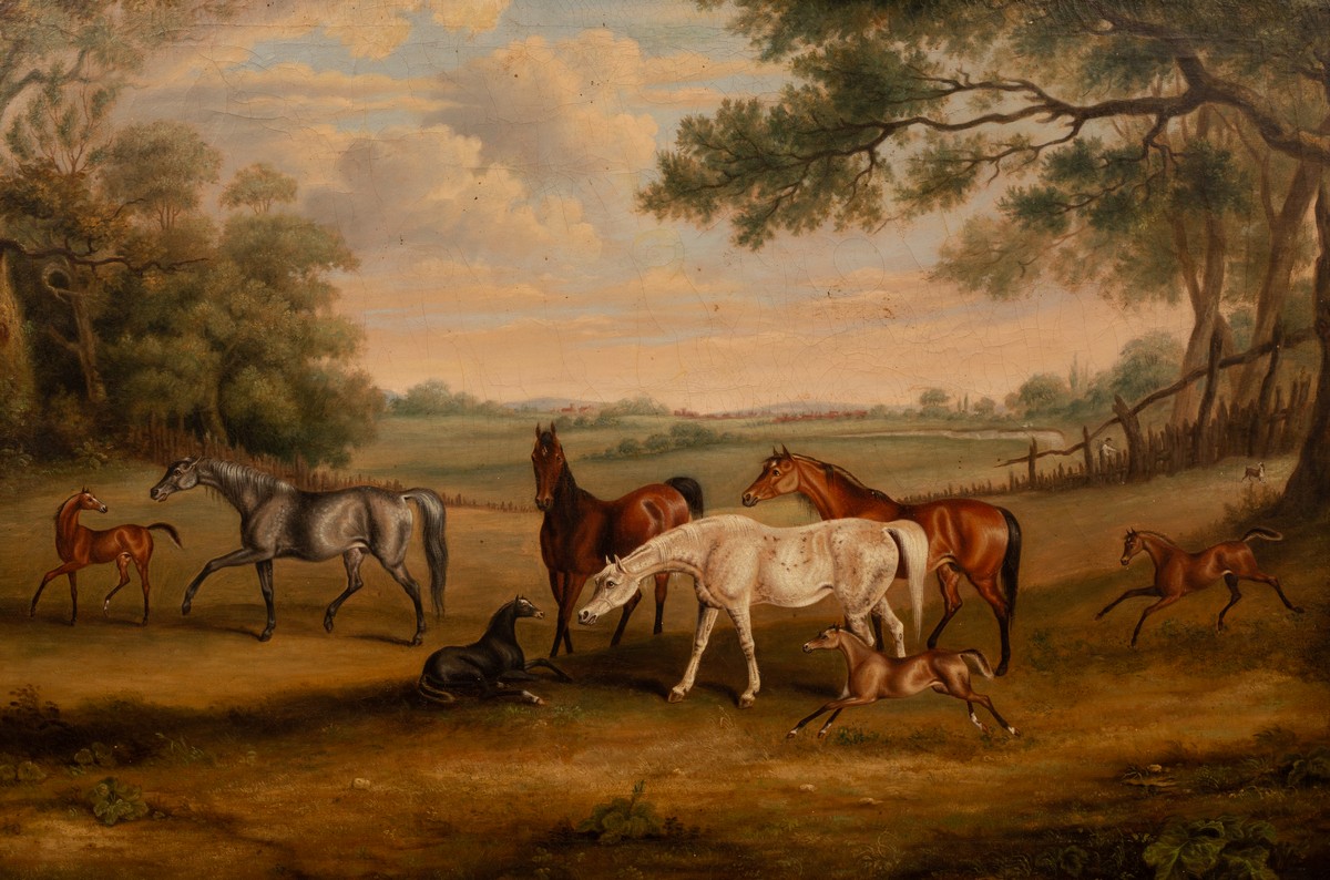 English School, 19th Century/Mares and Foals in a Wooded Landscape/oil on canvas, 61cm x 91.