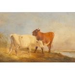 After Thomas Sidney Cooper (1803-1902)/Bull Licking a Cow/oil on canvas, 26.