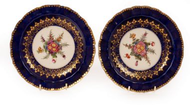 A pair of Chamberlain Worcester plates,