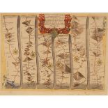 John Ogilby/The Road from Dartmouth Com Devon to Minehead in the Com Somerset/hand coloured