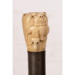 A late 19th Century malacca walking stick, the ivory knop modelled as a lion with deer in its jaws,
