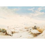 After Archibald Thorburn (1860-1935)/Ptarmigan in the Snow/numbered 102/500/print 38cm x 53cm