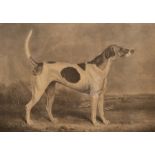 W Ward after Henry Bernard Chalon (1770/71-1849)/Costive/a favourite fox hound,