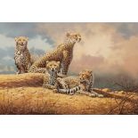 Adrian C Rigby (born 1962)/Cheetah at Rest/limited edition numbered 51/495/print,