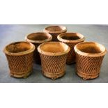 Six terracotta lattice pots,