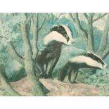 C F Tunnicliffe (1901-1979)/Badger in Woodland/signed in pencil and numbered 331/500/published by