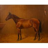 Charles E Gatehouse (1866-1952)/Cavalry Horse 'Old Hat'/in a stable,