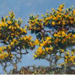 Robert Jones (born 1943)/Gorse/initialled LR, signed, inscribed and dated 2008 verso/oil on canvas,