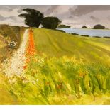 Allan Laycock RWA (1928-2020)/Coloured Fields (Poppy, Dog Daisy, Linseed), near Great Barrington,