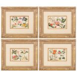Chinese School/A set of four Botanical Studies/watercolour on rice paper,