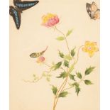 Chinese School, circa 1800/Botanical Study with Butterflies/rice paper painting, 30.