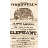 Wombwell's Royal National Menagerie advertisement and a collection of thirteen plates of