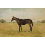 Denis Aldridge (1898-1985)/Portrait of a Hunter at Grass/signed/watercolour,