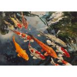 20th Century School/Koi Carp in a Pond/watercolour, 52cm x 73.