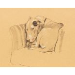 Cecil Aldin (1870-1930)/Dog Curled Up on a Chair/print,