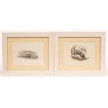 John Sibbick (20th/21st Century)/Two Dinosaur Studies/signed and dated 1992/pencil,