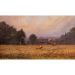 Clive Madgwick (1934-2005)/Pheasants over the Cornfield/signed/oil on board, 19.5cm x 32.