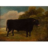 English Naïve School, 19th Century/Bull in Landscape/oil on panel, 18.