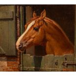 Fortunino Matania (1881-1963)/Study of an Arab Horse, Rheoboam/oil on board,