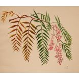An album of 19th Century watercolour, pencil and pen and ink drawings, botanical,