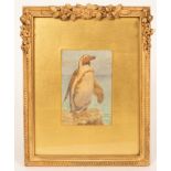 Henry Stacy Marks (1829-1898)/Penguin/inscribed on reverse/watercolour, 11.5cm x 7.