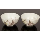 A pair of Chinese famille rose bowls, 20th Century, decorated plum blossoms inside out, Guoqianmei,