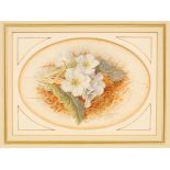 Mary Elizabeth Duffield (1819-1914)/Study of Primroses/oval/watercolour,