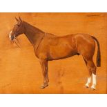 Frances Mabel Hollams (1877-1963)/Study of a Hunter 'Desmond'/signed/oil on panel, 30.