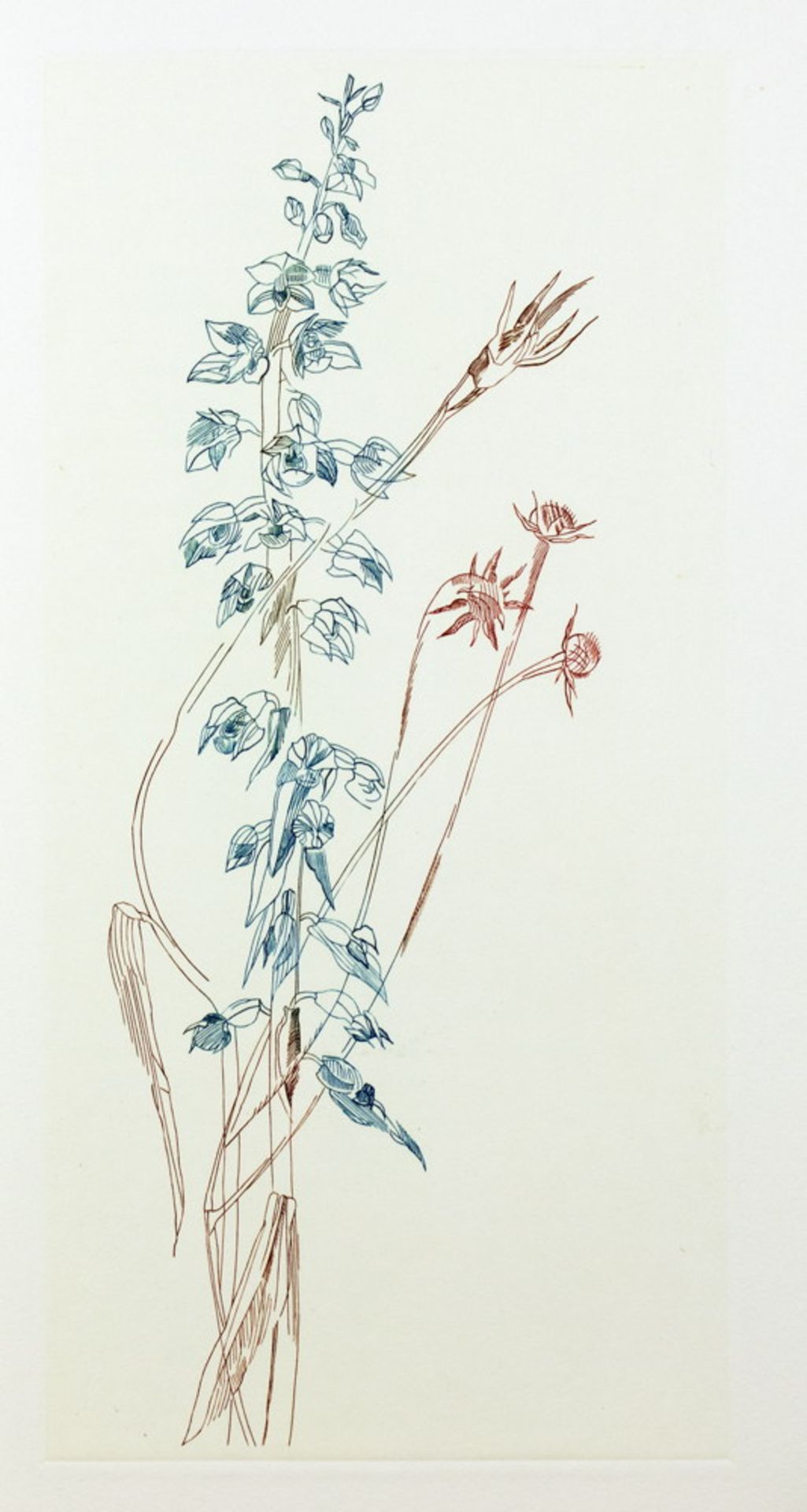 Otto Rohse Presse - Otto Rohse. Toscanische Blumen. - Image 3 of 4