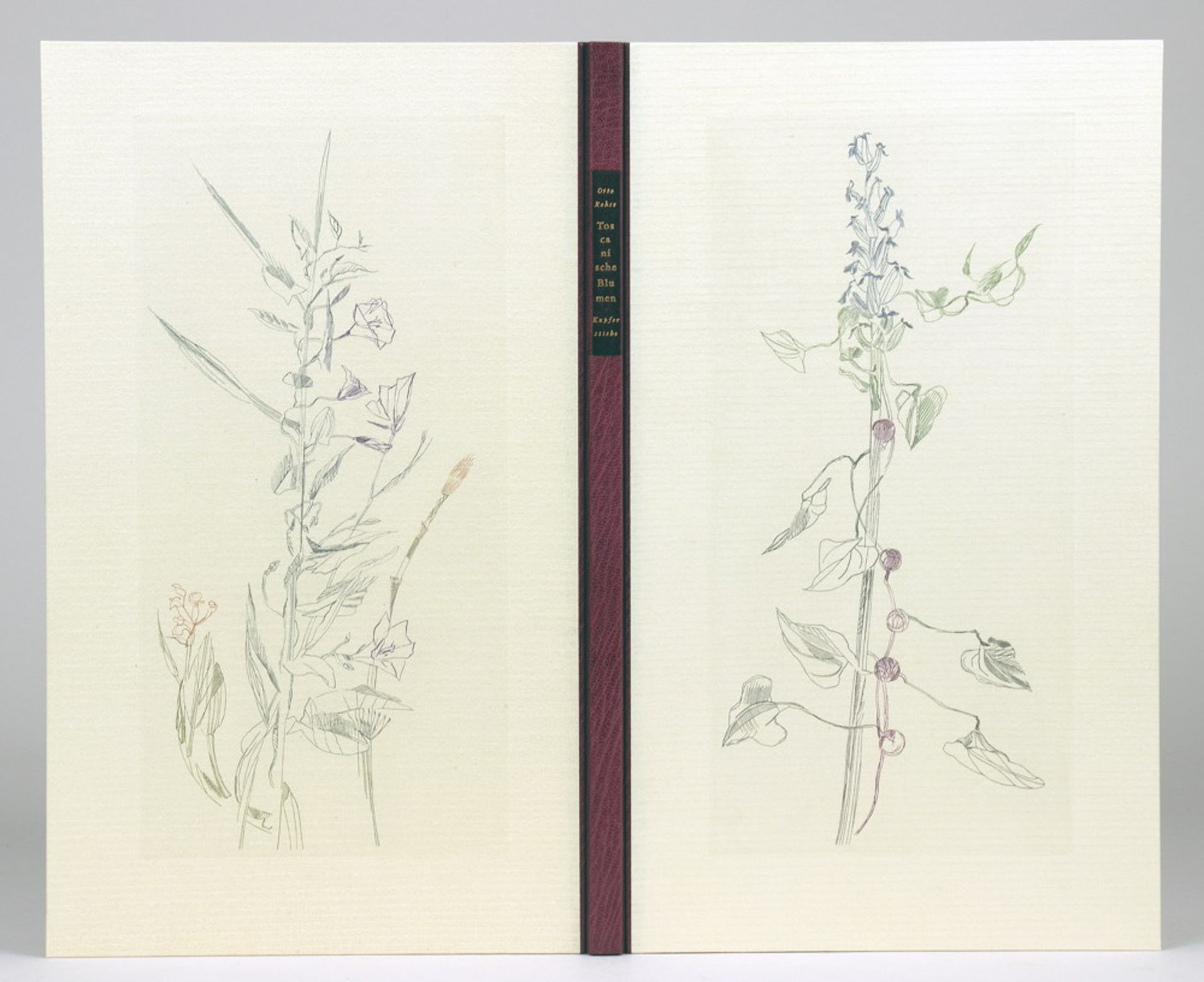 Otto Rohse Presse - Otto Rohse. Toscanische Blumen.