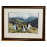A large original watercolour by Stephen Townsend depicting three farm collies, titled "Master's Of T
