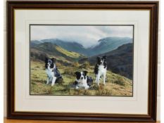 A large original watercolour by Stephen Townsend depicting three farm collies, titled "Master's Of T