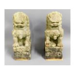 A pair of carved stone Chinese guardian lions, 18i
