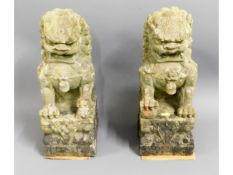 A pair of carved stone Chinese guardian lions, 18i