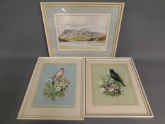 Two M. Sherborne watercolour bird studies twinned